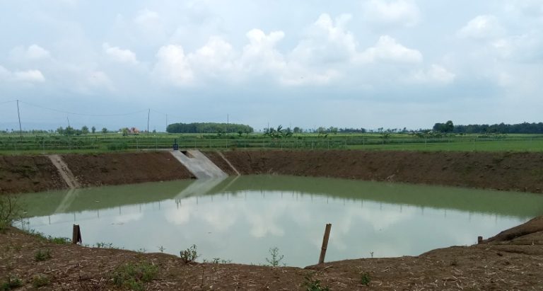 IMG_20250106_120223_194